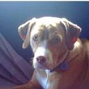 Cristina♥ - @CrisFlorHerrera - Twitter