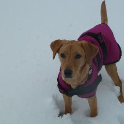 Iannotts2011's profile picture. love walking/hiking in lakes or any where love the quiet of the hills with just  sounds of the country side.doing as many Wainwright as  i can.