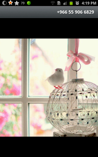 ♡● اللهم صل وسلم على نبينا محمد ♡●