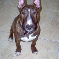 MAMBER (@mca526) 's Twitter Profile