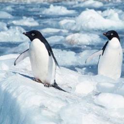 eterzis's profile picture. 