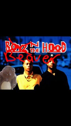 SwaggerBeaver / 24/7 houtknager / Voordat ik uit mijn ei kroop was ik al awesome!