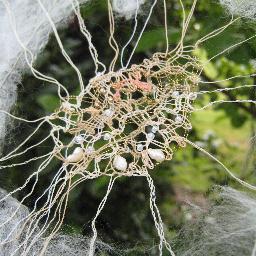 Lace researcher/practitioner, textile artist. Post-doc studying lace, net curtains, veiling, gothic literature, Victorian domesticity, subversive stitching