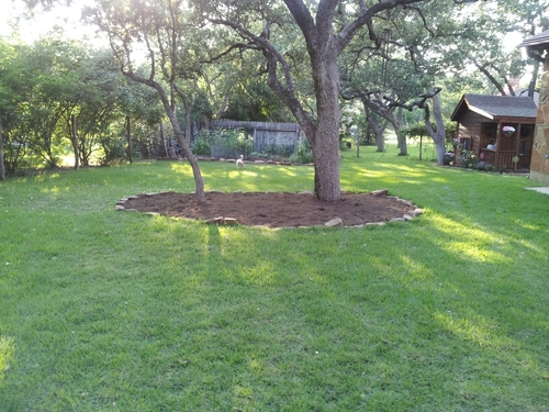 TimberwoodPark's profile picture. 