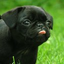 clinton Blair - @clintblair1983 - Twitter