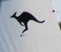 washarpies's profile picture. Official account of the Australian Sharpie Association (Western Australia). If you're not in a Sharpie, are you really sailing? #flysharpie