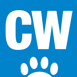 Catworld is one of the UK’s best selling cat magazines and has been published for over 20 years. Our website now lists breeders from around the UK.