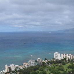 SunflowerGurl88's profile picture. Green tea, iced coffee and long walks on the beach with my Mister!