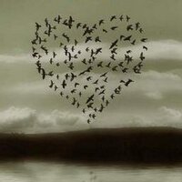مقرن الجبيري (@1951_sky) Twitter profile photo