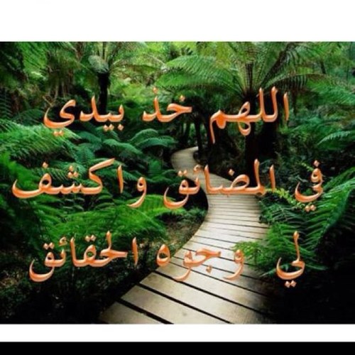 wrag76's profile picture. 