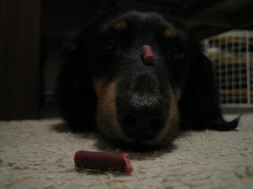 n_whites's profile picture. ぼちぼちマイペースに・・・らー活しとります。ラヲタではありませんので、あしからず。。。