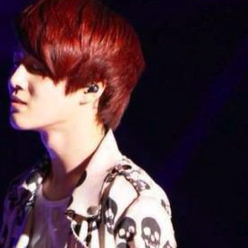 EXO 金俊勉 ( ro ) bot
