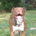 cody higgins - @dsgrlee - Twitter