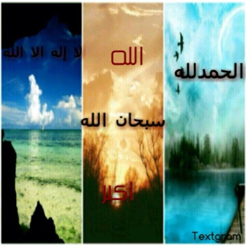 bedo111133's profile picture. 