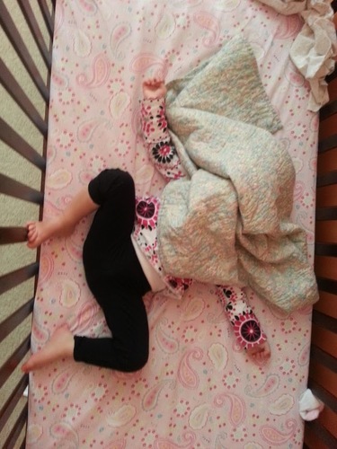 SamuelThePro's profile picture. 