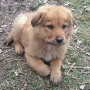 don jason scott - @don_1806scott - Twitter