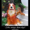 Abel Alonso Rubio - @AbelAlonsoRubio - Twitter