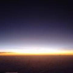 andoword's profile picture. 