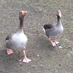 リバプールと麻雀が好きです。