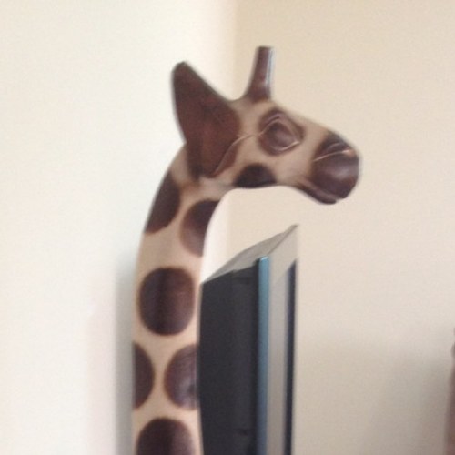 shrek260's profile picture. 