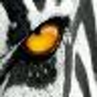 juve forever (@albyce1) 's Twitter Profile