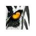 juve forever (@albyce1) Twitter profile photo juve forever (@albyce1) Twitter profile photo