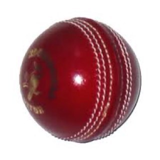 In a village full of immobile people, 11 slightly more mobile people attempt to play cricket in all kinds of English summer conditions, then drink beer.
