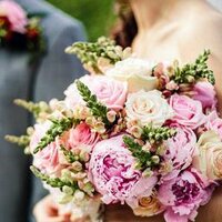 Nicola (@falconhurstkent) 's Twitter Profile