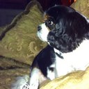 Nancy Stacy - @Nanstacy - Twitter