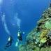UOL Scuba Diving (@uolscubadiving) Twitter profile photo
