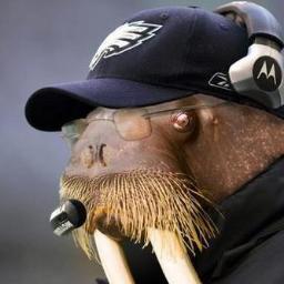 AndyReidWalrus's profile picture. 