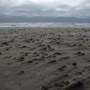 Peter Stratton - @Halescode - Twitter