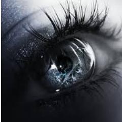 CLEZephyr's profile picture. Just another traveler on the voyage we call life...