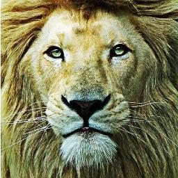 Narnia_Seniors's profile picture. 