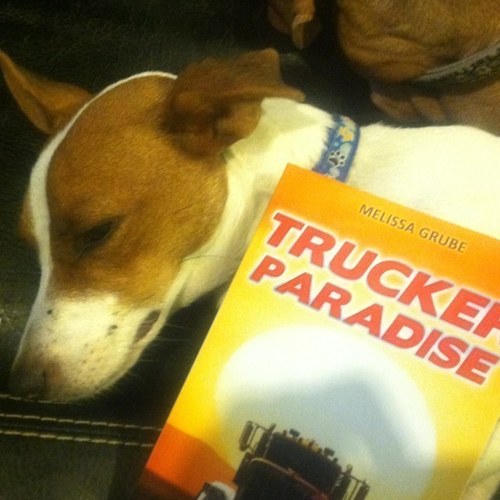 Woman Trucker, Author Limo tales, Trucker paradise.I Phone, E books, Kindle, Amazon.com,Google for stores, worldwide. Goofy not so serious humor. ifollowback!