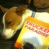 TruckerParadise's profile picture. Woman Trucker, Author Limo tales, Trucker paradise.I Phone, E books, Kindle, Amazon.com,Google for stores, worldwide. Goofy not so serious humor. ifollowback!