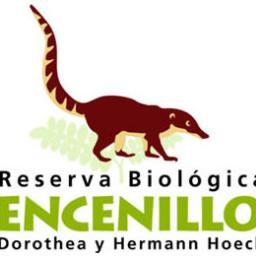 Conservación y restauración de la biota de bosque altoandino de Encenillo (Weinmmania tomentosa) cfcastillo@natura.org.co Caminatas, siembras de árboles.