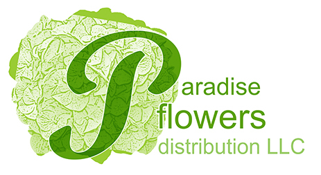 Hydrangea Experts