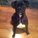 Kevin Shellberg - @KevShshockers - Twitter