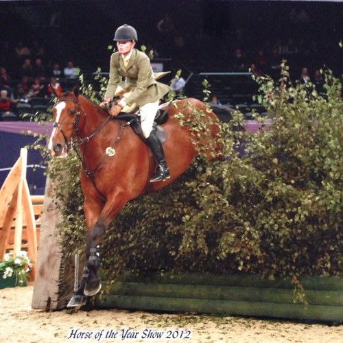 KatyGreen5's profile picture. Working Hunter producer on a private yard in Warwickshire. Currently working for the National Saddle Centre