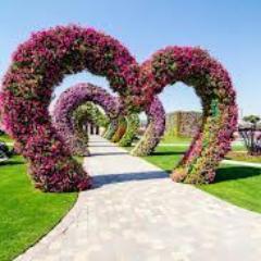 AlnagemAlsata's profile picture. 