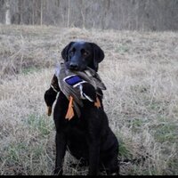 Drew Brendle (@drewbrendle) 's Twitter Profile