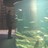 Profile Picture of Mareis Aquarium (@@Mareis_aquarium) on Twitter