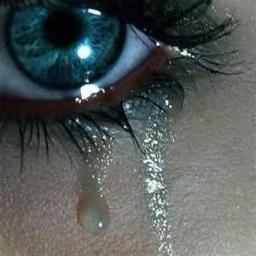 No soy perfecta, solo soy una pieza mas de esta puta sociedad irreal a la que las personas han aplastado.
