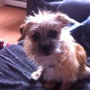 Craig MacKay - @camk7 - Twitter