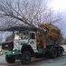 Ruskins Trees (@ruskinstrees) Twitter profile photo Ruskins Trees (@ruskinstrees) Twitter profile photo
