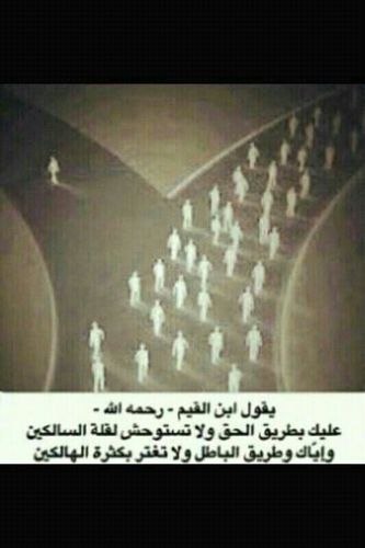 استاذ مشارك، بجامعه الملك سعود، كليه الصيدله، قسم علم الأدويه والسموم، دكتوراه في علم بيولوجيا السرطان، مهتمه بأبحاث سرطان الثدي