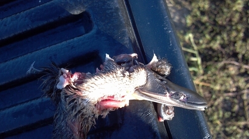 PublicHunter's profile picture. 