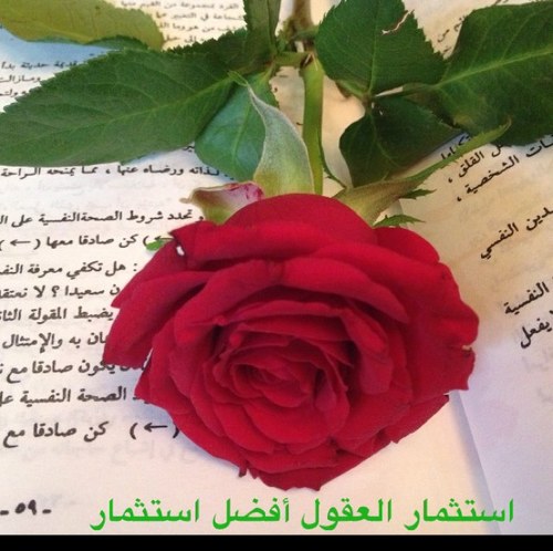 بكالوريوس علم نفس تربوي ، دبلوم عالي ارشاد زواجي وأسري/ جامعة الكويت استشارية علاقات زوجية واسرية، لحجز موعد استشارة٠٠٩٦٥٥٠٧٣٣٢٢٥ ، الانستقرام salmaalfailakawi5
