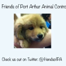 PA Animal Control